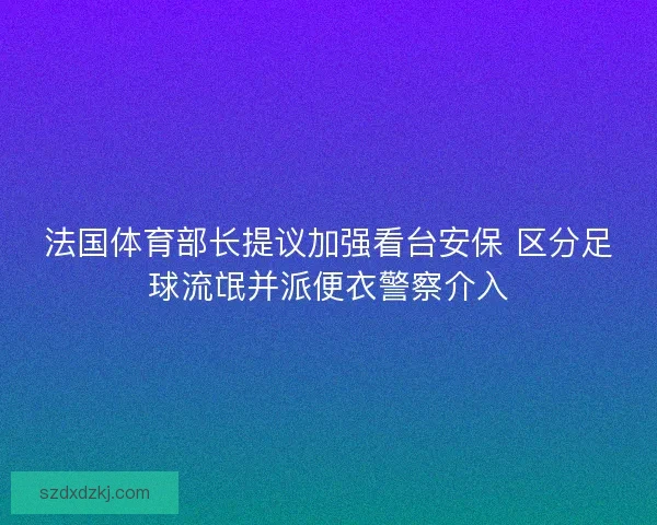 法国体育部长提议加强看台安保 区分足球流氓并派便衣警察介入 法国体育部长提议加强看台安保 区分足球流氓并派便衣警察介入