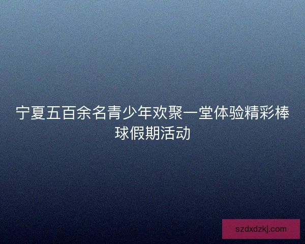 宁夏五百余名青少年欢聚一堂体验精彩棒球假期活动